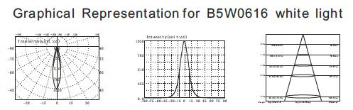 B5W0616 B5W0618 6 * 2 watów Stopień ochrony IP68 Podwodne reflektory LED do stawu ze statywem ze stali nierdzewnej SUS316 3