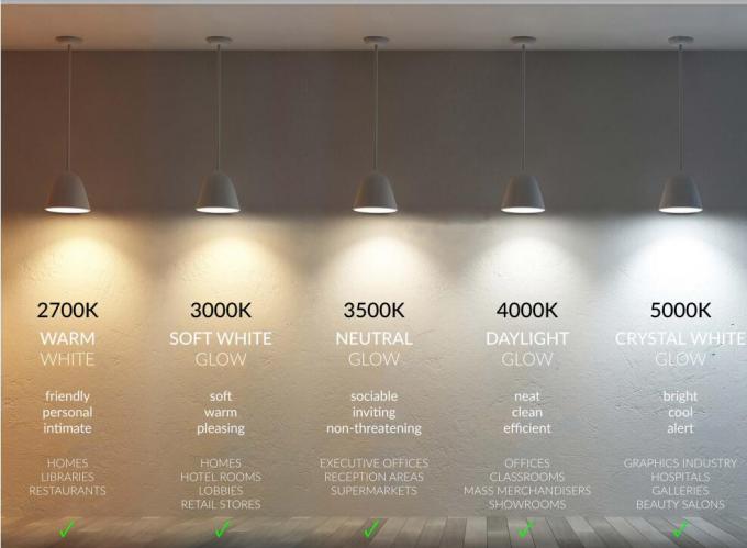Architektoniczne oprawy sufitowe LED do montażu powierzchniowego 20W IP65 Oświetlenie zewnętrzne 0